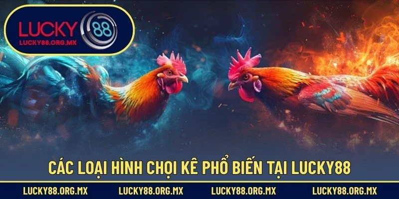 Đá Gà Lucky88 Các loại hình chọi kê phổ biến tại Lucky88