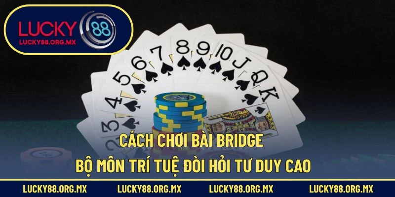 Cách Chơi Bài Bridge – Bộ Môn Trí Tuệ Đòi Hỏi Tư Duy Cao Cách Chơi Bài Bridge