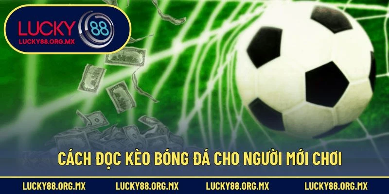 Cách Đọc Kèo Bóng Đá – Hướng Dẫn Từ Cơ Bản Đến Nâng Cao Cách đọc kèo bóng đá cho người mới chơi