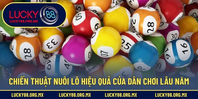 Nuôi Lô 7 Ngày – Chiến Thuật Đầu Tư Lô Đề Dài Hạn Hữu Ích Chiến thuật nuôi lô hiệu quả của dân chơi lâu năm