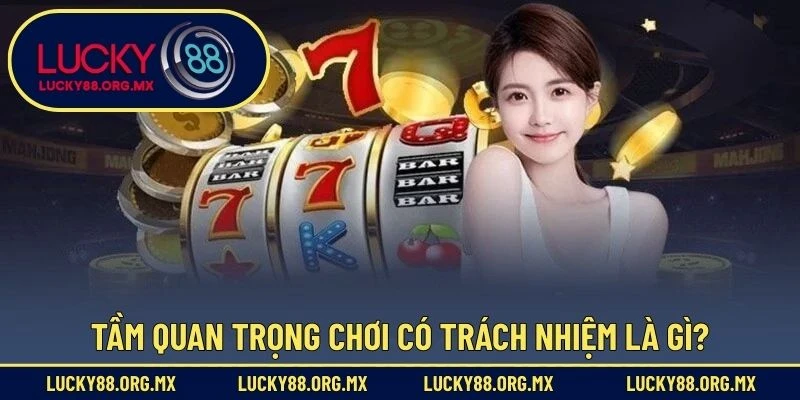 Chơi Có Trách Nhiệm Ghi nhận tầm quan trọng của việc chơi có trách nhiệm là gì?