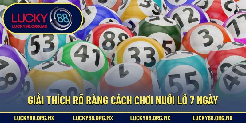 Nuôi Lô 7 Ngày – Chiến Thuật Đầu Tư Lô Đề Dài Hạn Hữu Ích Giải thích rõ ràng cách chơi nuôi lô 7 ngày