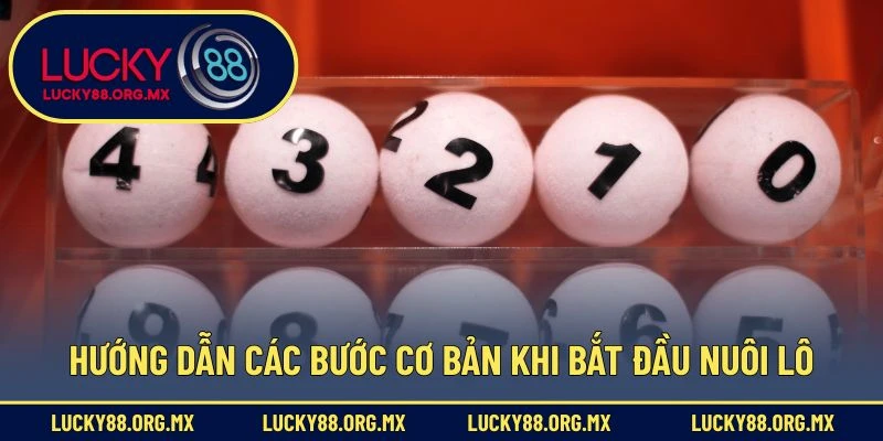 Nuôi Lô 7 Ngày – Chiến Thuật Đầu Tư Lô Đề Dài Hạn Hữu Ích Hướng dẫn các bước cơ bản khi bắt đầu nuôi lô