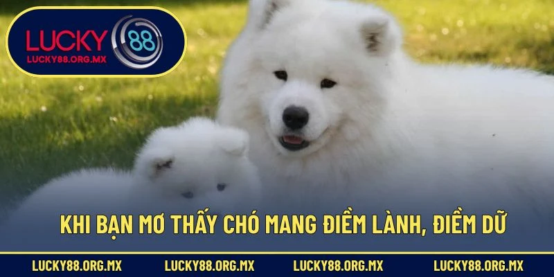 Mơ Thấy Chó Đánh Con Gì? - Giải Mã Điềm Báo Và Con Số Khi bạn mơ thấy chó mang điềm lành, điềm dữ