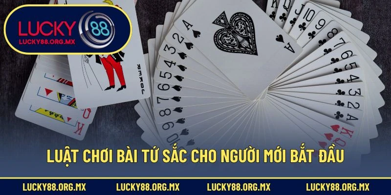 Cách Chơi Bài Tứ Sắc – Trò Chơi Dân Gian Được Yêu Thích Luật chơi bài Tứ Sắc cho người mới bắt đầu