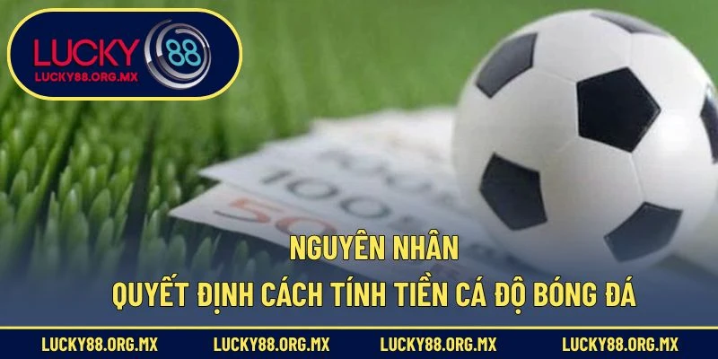 Cách Tính Tiền Cá Độ Bóng Đá – Tránh Thua Lỗ Khi Vào Kèo Nguyên nhân quyết định cách tính tiền cá độ bóng đá