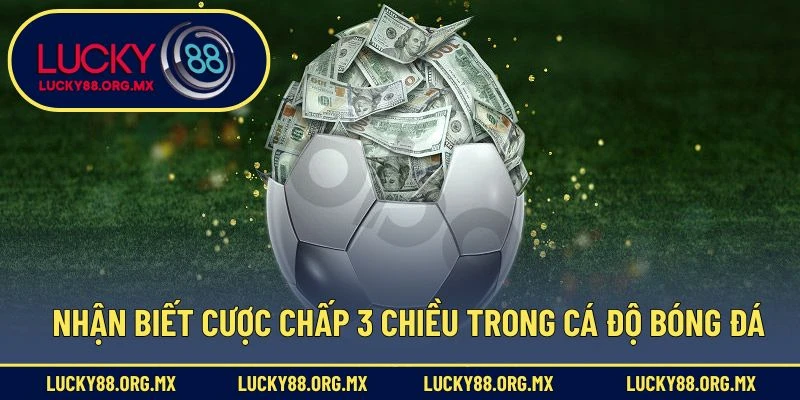 Cược Chấp 3 Chiều - Tận Dụng Ưu Thế Kèo Để Kiếm Lời Mỗi Ngày Nhận biết cược chấp 3 chiều trong cá độ bóng đá
