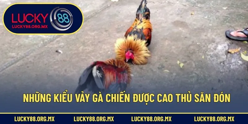 Cách Nhận Biết Chiến Kê - Mẹo Xem Tướng Gà Cực Kỳ Chính Xác Những kiểu vảy gà chiến được cao thủ săn đón